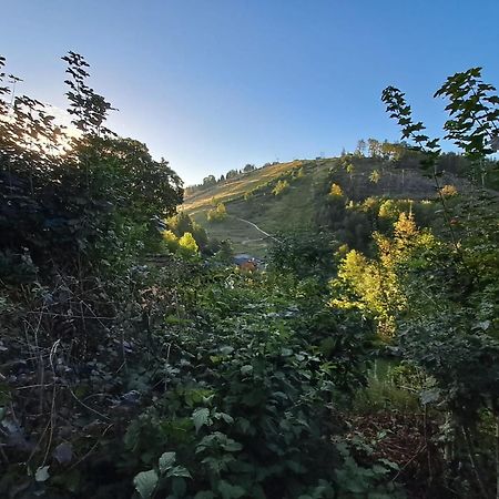 Platell Ferienhausverwaltung Sankt-Andreasberg Extérieur photo