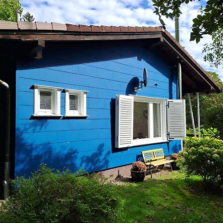 Platell Ferienhausverwaltung Sankt-Andreasberg Extérieur photo