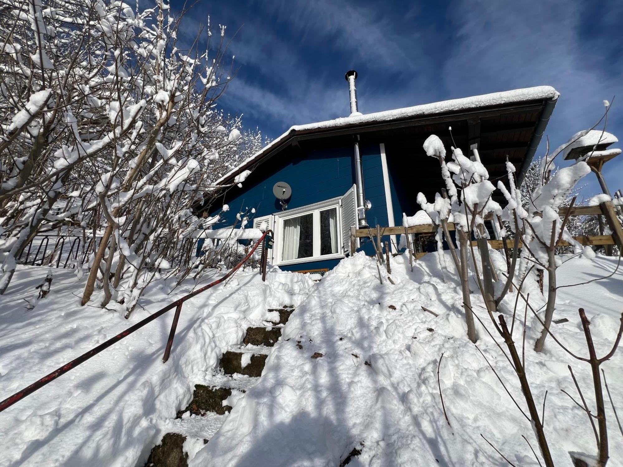 Platell Ferienhausverwaltung Sankt-Andreasberg Extérieur photo