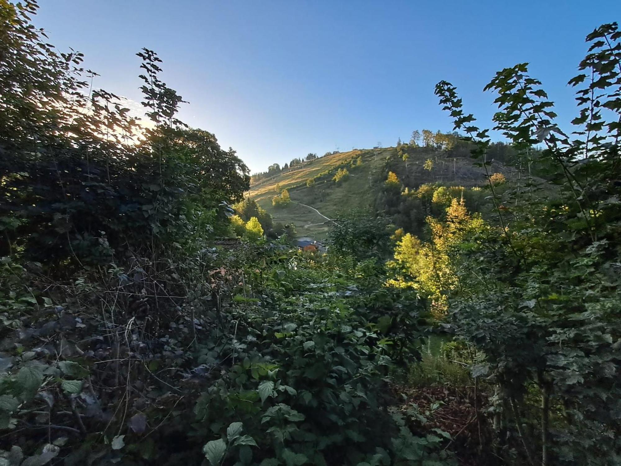 Platell Ferienhausverwaltung Sankt-Andreasberg Extérieur photo