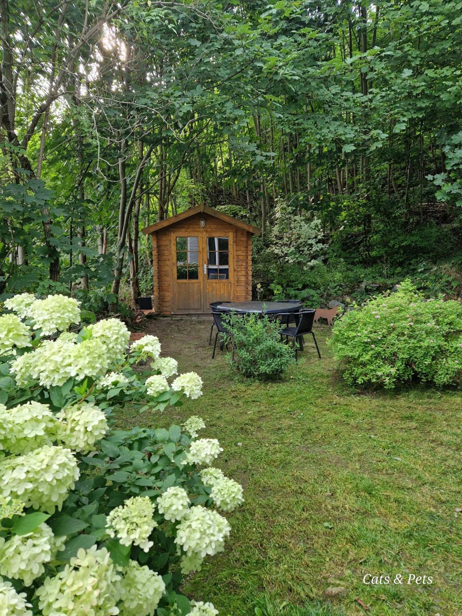 Platell Ferienhausverwaltung Sankt-Andreasberg Extérieur photo